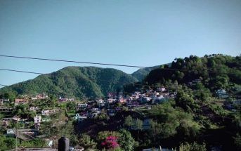 Un hombre de 21 años de edad privó de la vida a su propia madre, dejó herido de gravedad a su padre, y posteriormente se colgó de un árbol, en el municipio de Tenango de Doria.