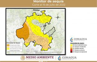 Tienen 13 municipios de Hidalgo sequía severa