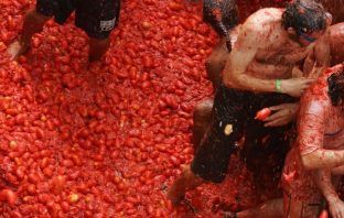 Este fin de semana, la primera jitomatiza en Hidalgo