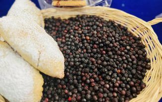 Omitlán realizará Festival Gastronómico del Cahuiche