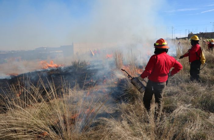 Inician líneas negras para evitar incendios forestales