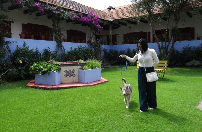 Hidalgo ofrece sitios Pet Friendly para el turismo