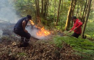 Atienden incendios en Tlanchinol