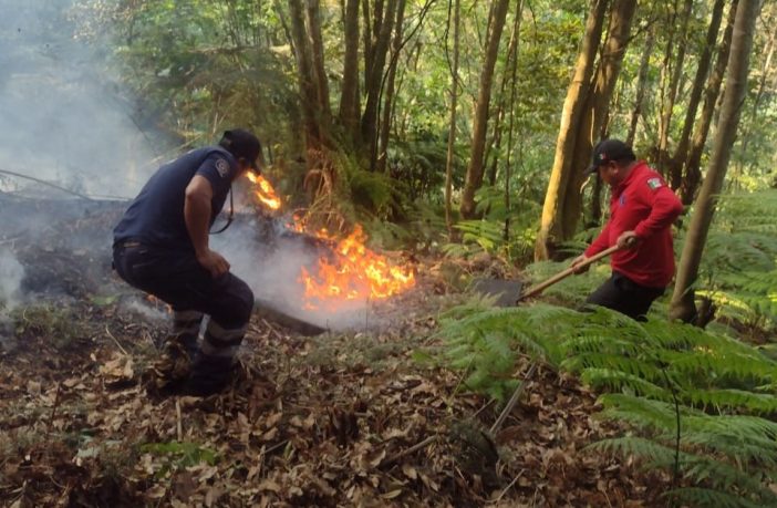 Atienden incendios en Tlanchinol