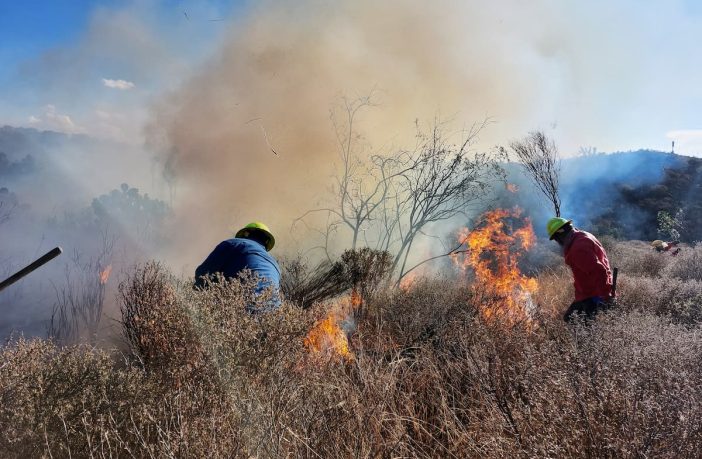 Laboran en Tenango de Doria para mitigar incendio forestal