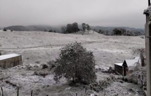 -4 grados, la temperatura más baja registrada en Hidalgo