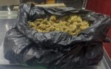 Policía Estatal detiene a hombre con medio kilo de marihuana en Tulancingo