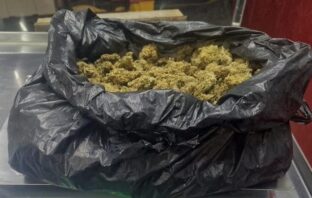Policía Estatal detiene a hombre con medio kilo de marihuana en Tulancingo
