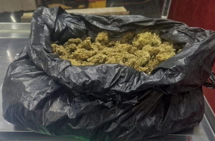 Policía Estatal detiene a hombre con medio kilo de marihuana en Tulancingo